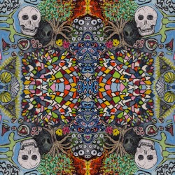 Revolutionaire Re‐imagined Vol. 1