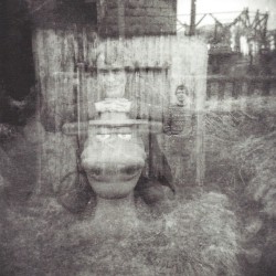 Summer Through My Mind