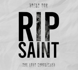 RIP Saint: The Lost Chronicles