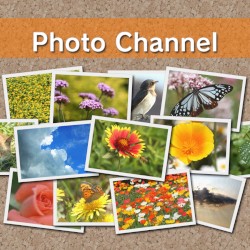 Photo Channel Soundtrack