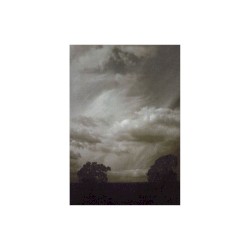 The Slow Manipulation of Dying Light