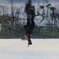 Animal Drowning