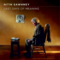 Last Days of Meaning