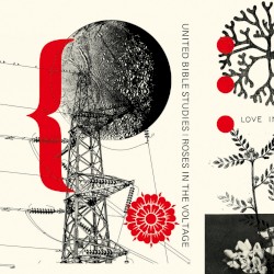 Roses In The Voltage