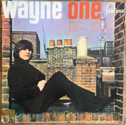 Wayne One