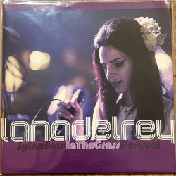 Splendour in the Grass Festival