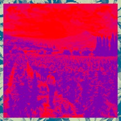 Onda Forte (Ao Vivo)