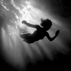 The Human Experience Edits