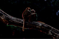 El Carnaval Profundo (Steffen Kirchhoff revision)