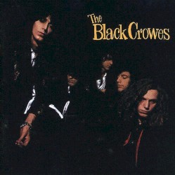 Shake Your Money Maker