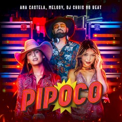 Pipoco