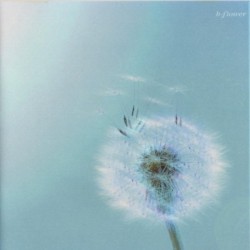 b-flower