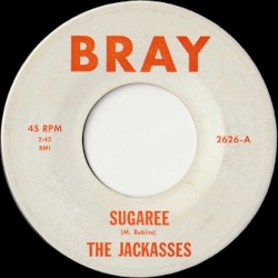 Sugaree / Shake It Up