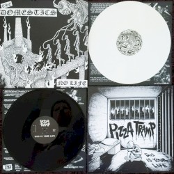 The Domestics/Pizzatramp split