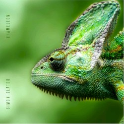 Chameleon