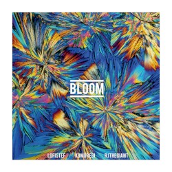Bloom
