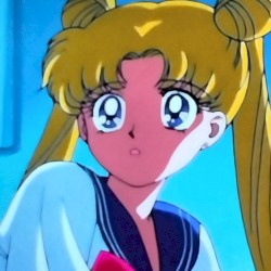 Accidentally Missed Recording: テレビの美少女戦士セーラームーン S