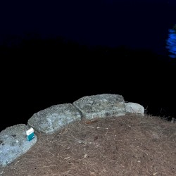 mentol, preto/pássaro