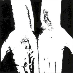 Collection 2005-2007