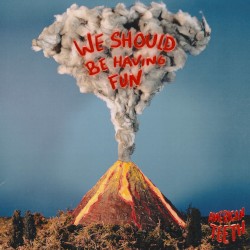 We Should Be Having Fun