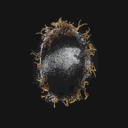 BLOODLINE (Code Orange remix)