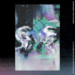 All The Things She Said (Culture Shock Version)