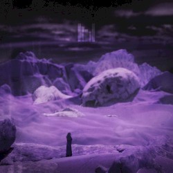 Desolate (Nvctve VIP)