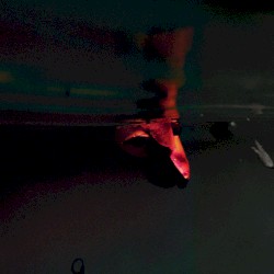 Loneliness Anthem #1