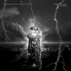 Heart for Rent (the remixes)