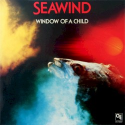 Window of a Child