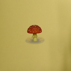 Mushroom Jazz