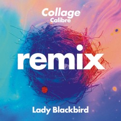 Collage (Calibre remix)