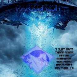 I Just Want These Songs Off My Comp...LP