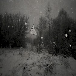 Ashen Winter of Chernobyl