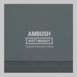 Ambush
