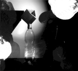 Charlemagne & Pippin