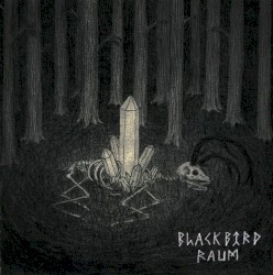 Blackbird Raum / Hail Seizures