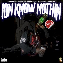 Ion Know Nothing (remix)