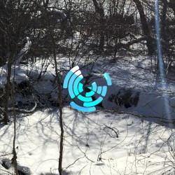 OST