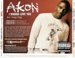 I Wanna Love You