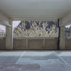 Foam Island