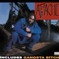 Apache Ain’t Shit