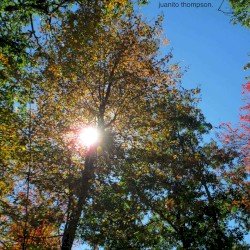 Much Better Than Carl Spatski