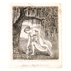 I found him beneath a Tree