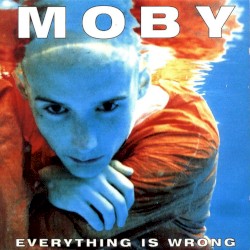 Everything Is Wrong