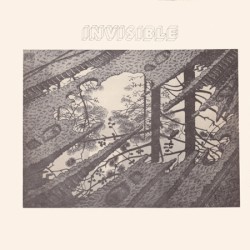 Invisible