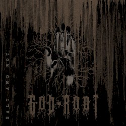 Salt and Rot