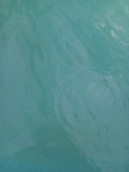 020293939302019292938837383