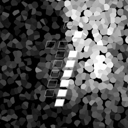 Wednesday Evening / Alpha Proxima (Senses remix)