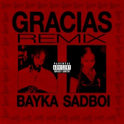 GRACIAS (remix)